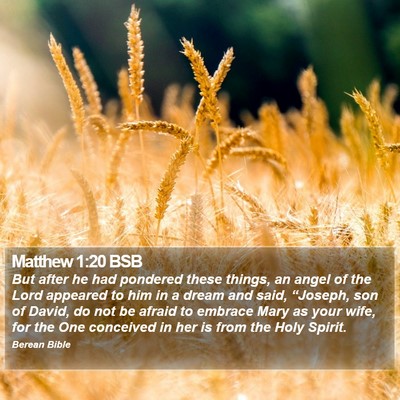 Matthew 1:20 BSB Bible Verse Image