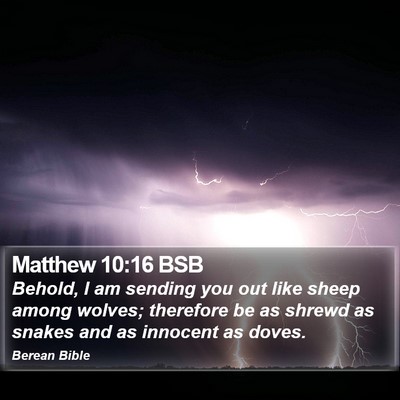 Matthew 10:16 BSB Bible Verse Image
