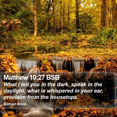 Matthew 10:27 BSB Bible Verse Image