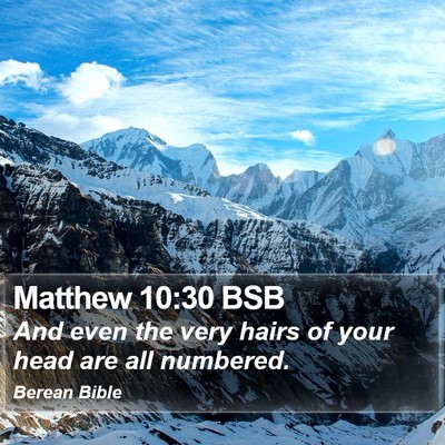 Matthew 10:30 BSB Bible Verse Image