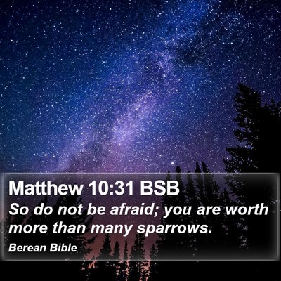 Matthew 10:31 BSB Bible Verse Image