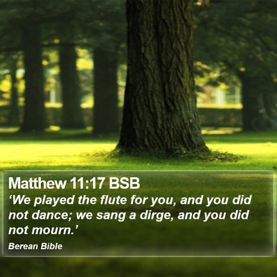 Matthew 11:17 BSB Bible Verse Image
