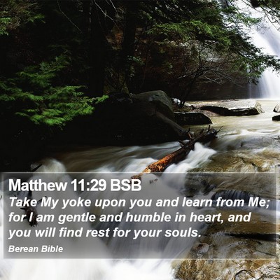 Matthew 11:29 BSB Bible Verse Image