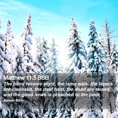 Matthew 11:5 BSB Bible Verse Image