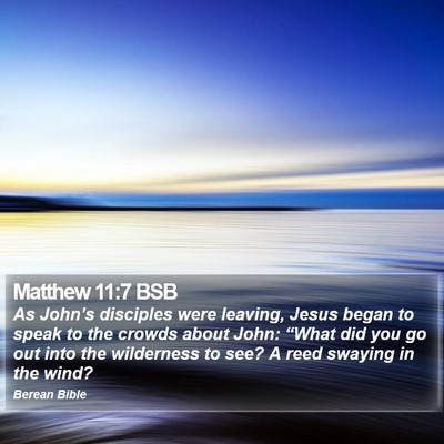 Matthew 11:7 BSB Bible Verse Image