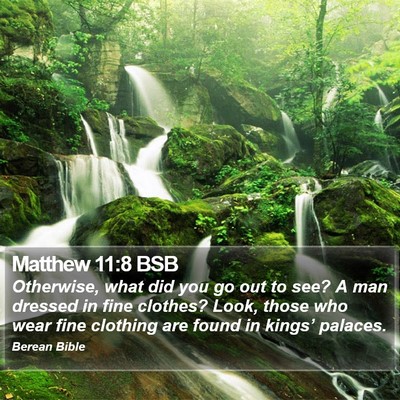 Matthew 11:8 BSB Bible Verse Image