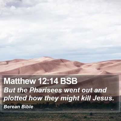 Matthew 12:14 BSB Bible Verse Image