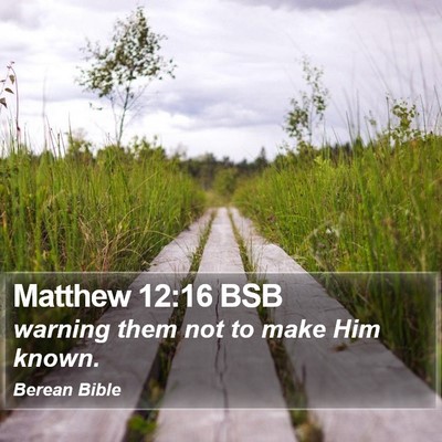 Matthew 12:16 BSB Bible Verse Image