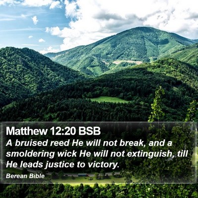 Matthew 12:20 BSB Bible Verse Image