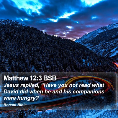 Matthew 12:3 BSB Bible Verse Image