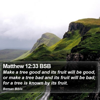 Matthew 12:33 BSB Bible Verse Image