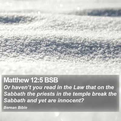 Matthew 12:5 BSB Bible Verse Image