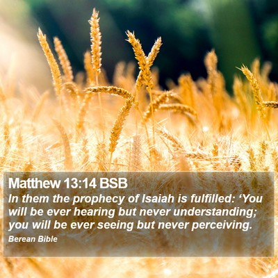 Matthew 13:14 BSB Bible Verse Image