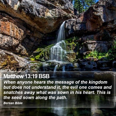 Matthew 13:19 BSB Bible Verse Image