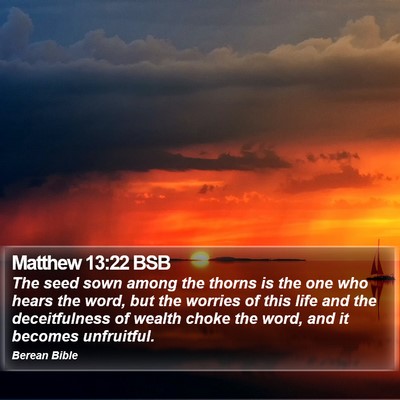 Matthew 13:22 BSB Bible Verse Image