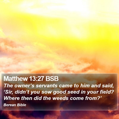 Matthew 13:27 BSB Bible Verse Image