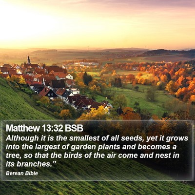 Matthew 13:32 BSB Bible Verse Image