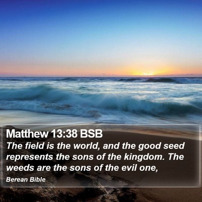 Matthew 13:38 BSB Bible Verse Image