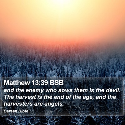 Matthew 13:39 BSB Bible Verse Image