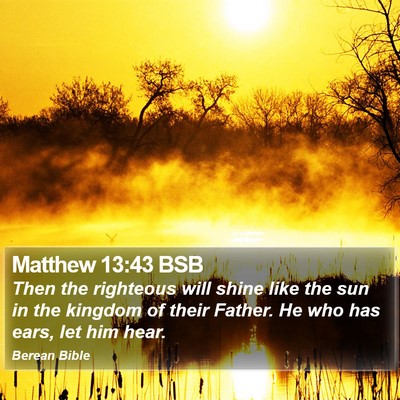 Matthew 13:43 BSB Bible Verse Image