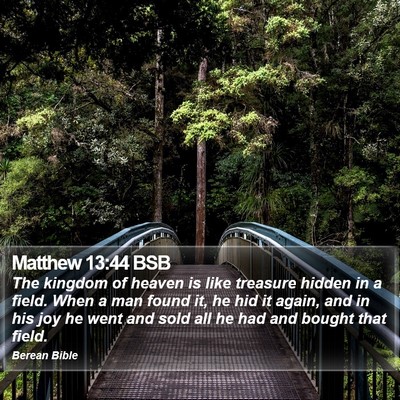 Matthew 13:44 BSB Bible Verse Image