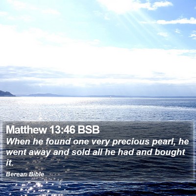 Matthew 13:46 BSB Bible Verse Image