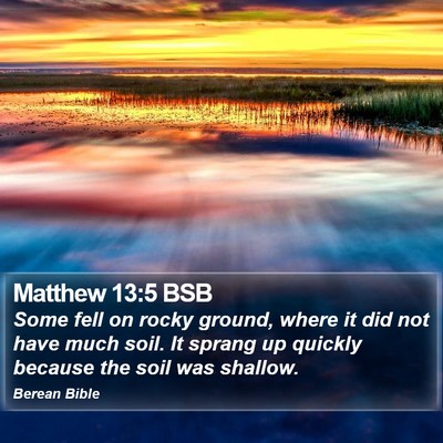 Matthew 13:5 BSB Bible Verse Image