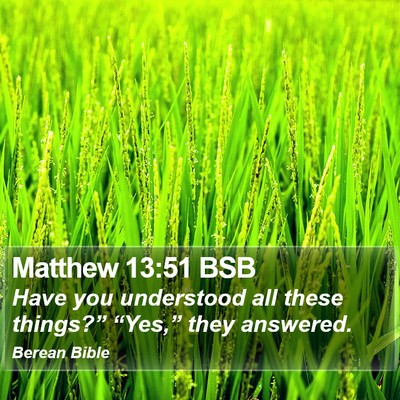 Matthew 13:51 BSB Bible Verse Image