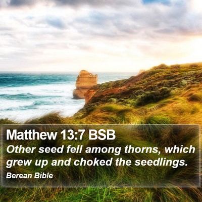 Matthew 13:7 BSB Bible Verse Image