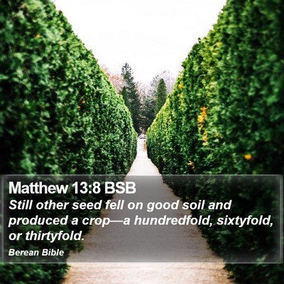 Matthew 13:8 BSB Bible Verse Image