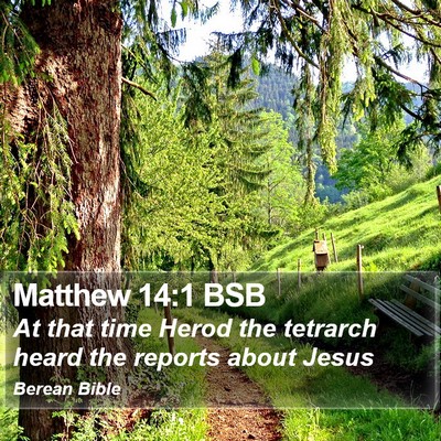 Matthew 14:1 BSB Bible Verse Image