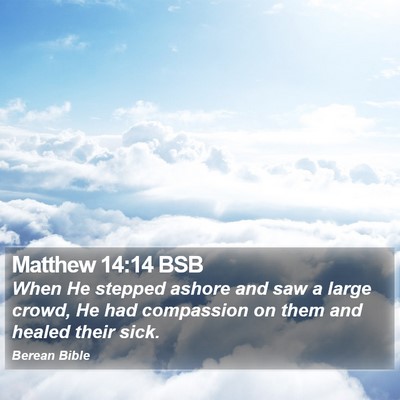Matthew 14:14 BSB Bible Verse Image