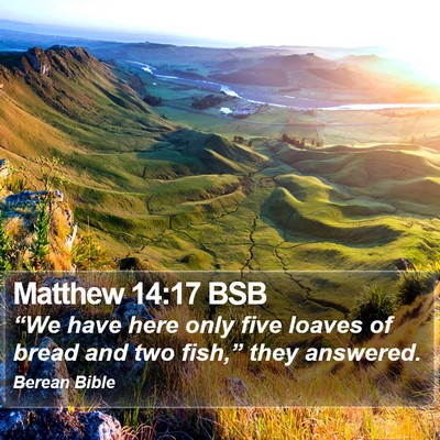 Matthew 14:17 BSB Bible Verse Image