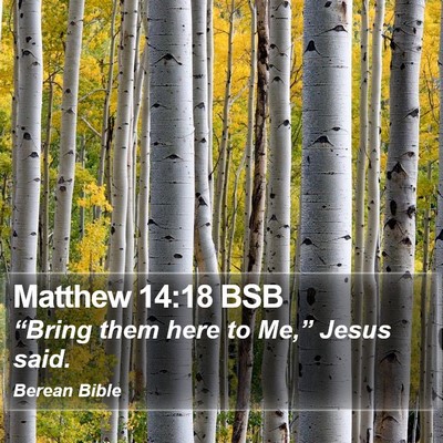 Matthew 14:18 BSB Bible Verse Image