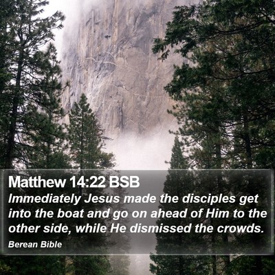 Matthew 14:22 BSB Bible Verse Image