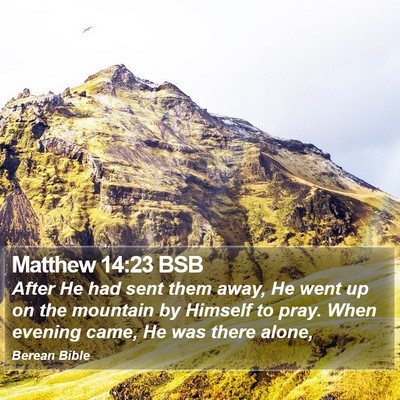 Matthew 14:23 BSB Bible Verse Image