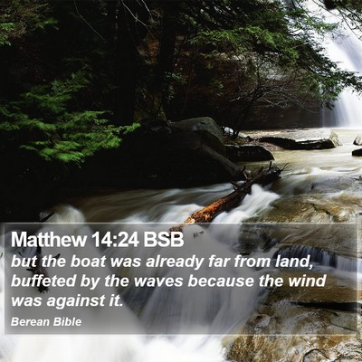 Matthew 14:24 BSB Bible Verse Image