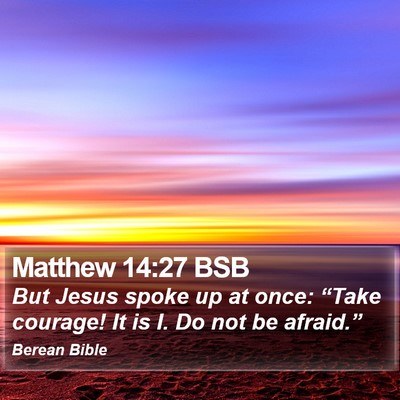 Matthew 14:27 BSB Bible Verse Image