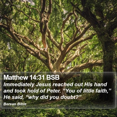 Matthew 14:31 BSB Bible Verse Image