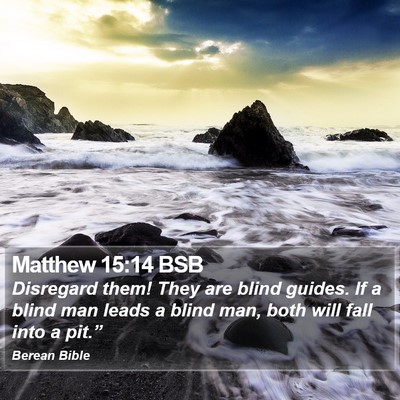 Matthew 15:14 BSB Bible Verse Image