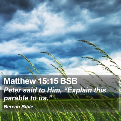 Matthew 15:15 BSB Bible Verse Image