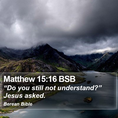 Matthew 15:16 BSB Bible Verse Image
