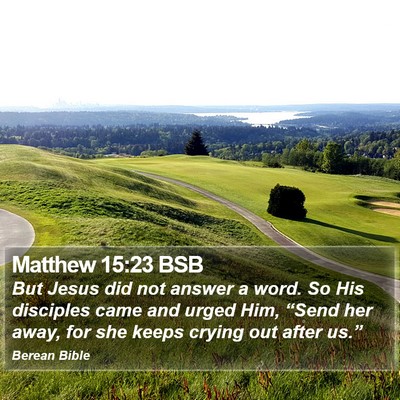 Matthew 15:23 BSB Bible Verse Image