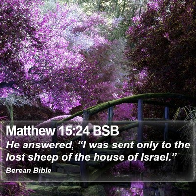Matthew 15:24 BSB Bible Verse Image