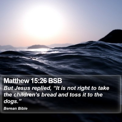 Matthew 15:26 BSB Bible Verse Image