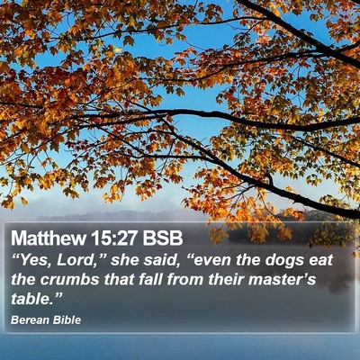 Matthew 15:27 BSB Bible Verse Image