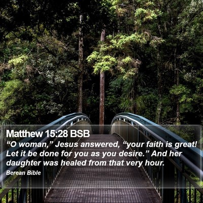 Matthew 15:28 BSB Bible Verse Image