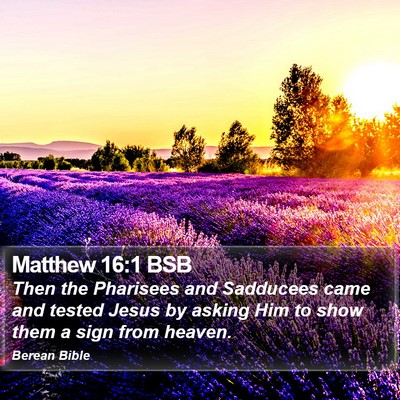 Matthew 16:1 BSB Bible Verse Image