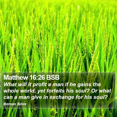 Matthew 16:26 BSB Bible Verse Image