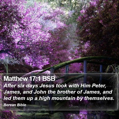 Matthew 17:1 BSB Bible Verse Image